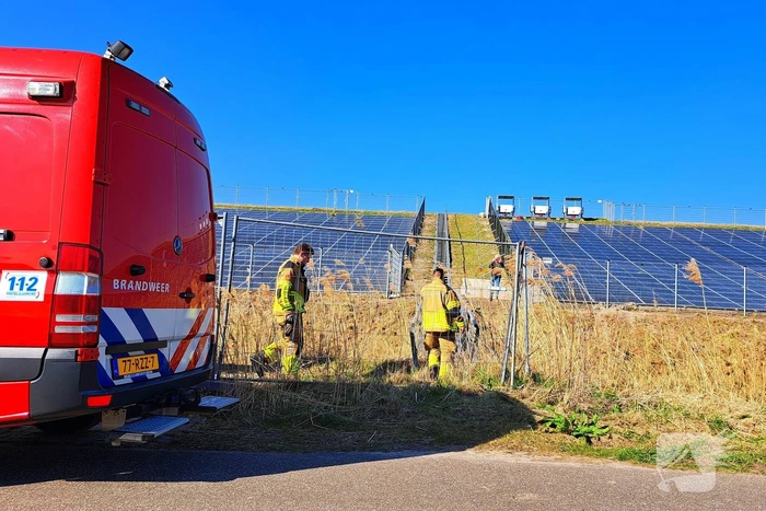 Brandweer redt schaap uit hek