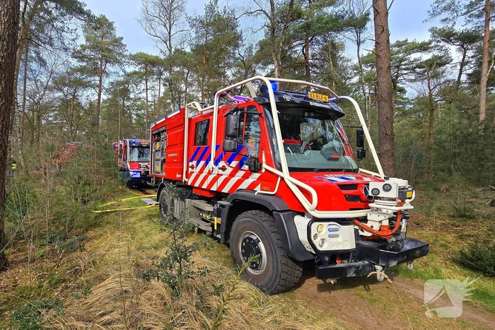 Extra ondersteuning door brandweervliegtuig bij bosbrand
