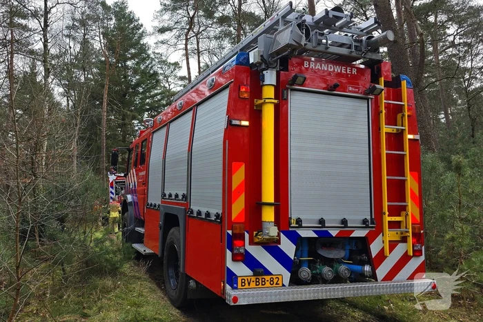 Extra ondersteuning door brandweervliegtuig bij bosbrand