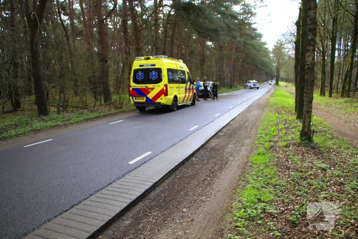 Automobilist raakt van de weg en belandt tegen boom