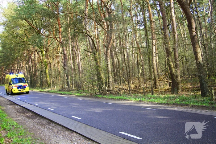 Automobilist raakt van de weg en belandt tegen boom