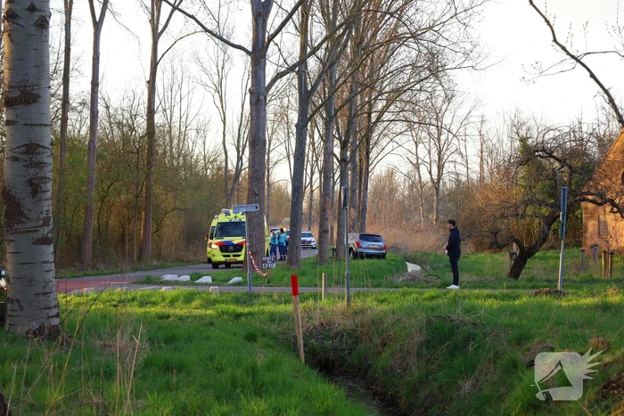 Bestuurder overleden bij ernstige aanrijding