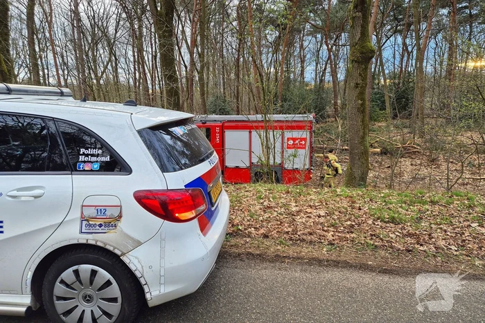 Brand in bosgebied snel onder controle