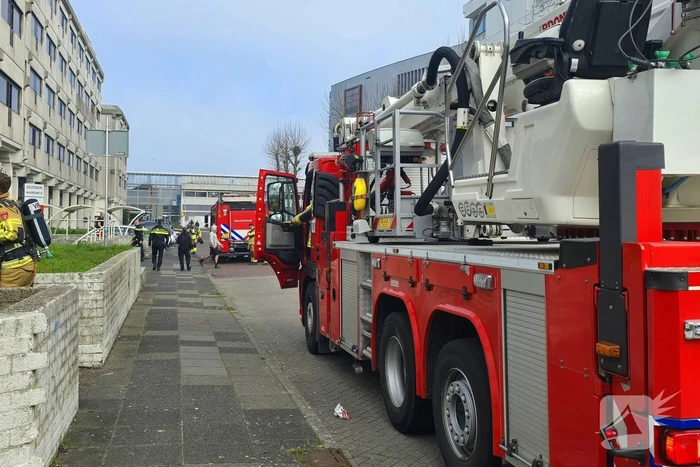 brand maerlant lelystad