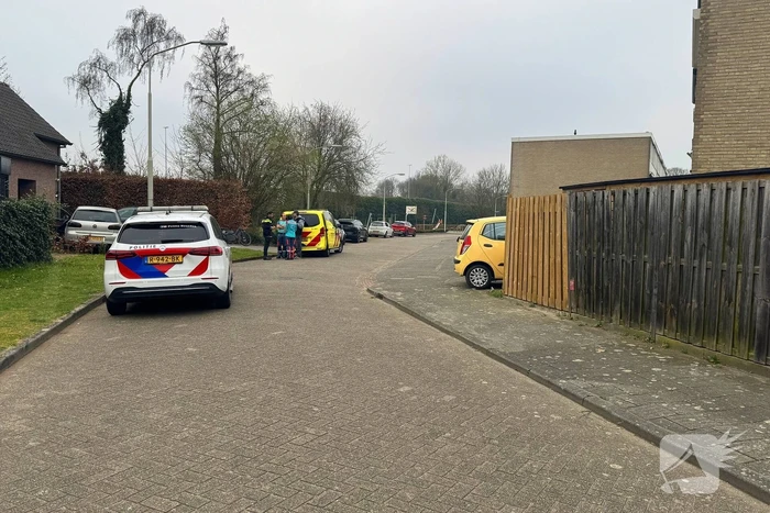 Automobilist rijdt voortuin in