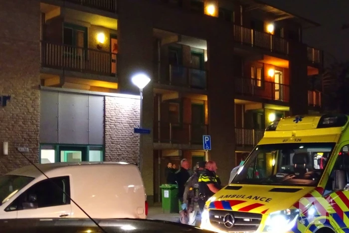 nieuws eilandplein duiven