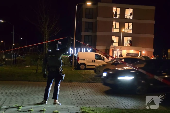 Dsi ingezet bij wonen bij lily