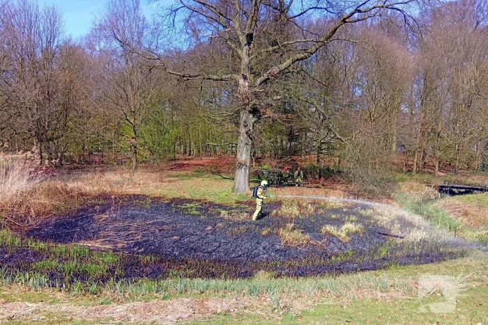 Riet in brand mogelijk brandstichting