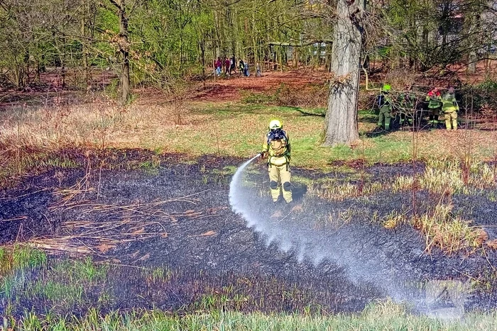 Riet in brand mogelijk brandstichting