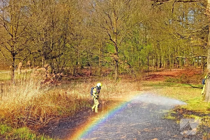 Riet in brand mogelijk brandstichting
