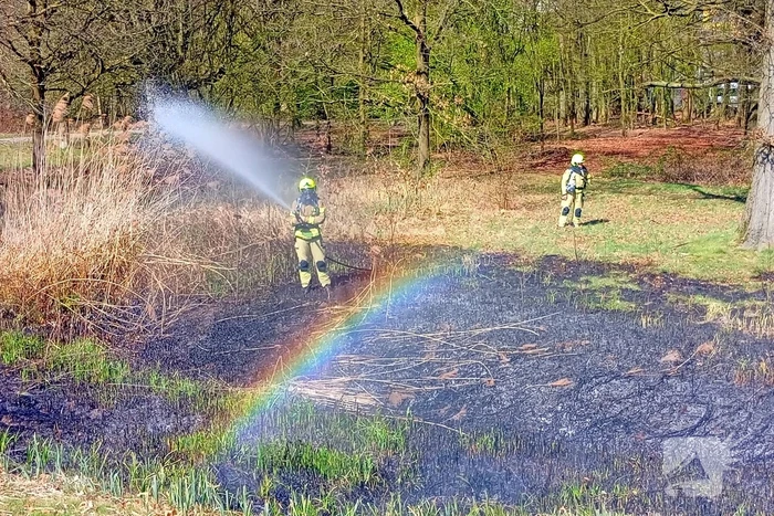 Riet in brand mogelijk brandstichting
