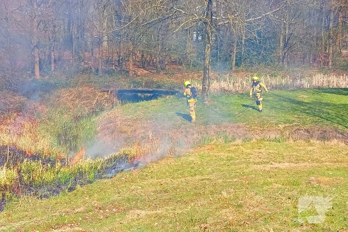 Riet in brand mogelijk brandstichting