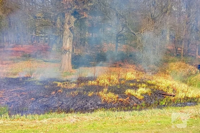 Riet in brand mogelijk brandstichting
