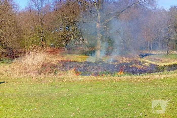Riet in brand mogelijk brandstichting