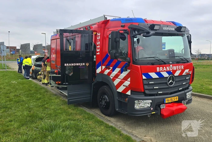 Onverwachte reddingsactie voor gewonde kat