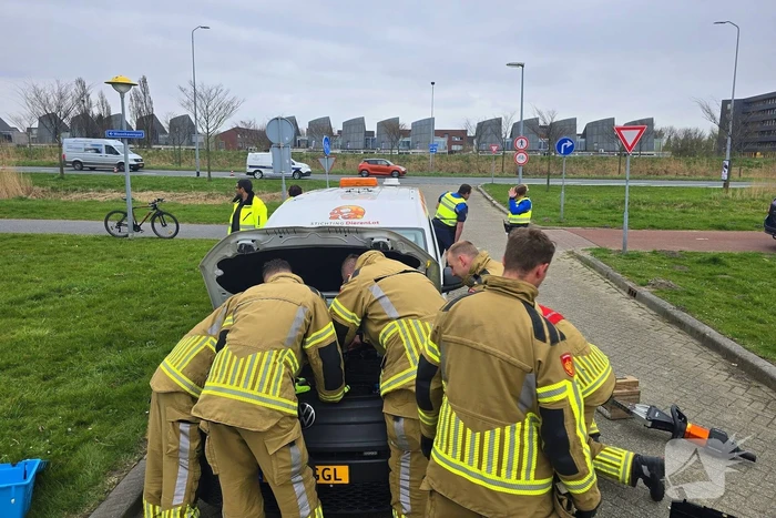 Onverwachte reddingsactie voor gewonde kat
