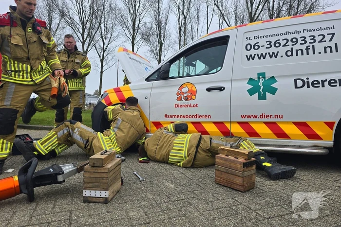 Onverwachte reddingsactie voor gewonde kat