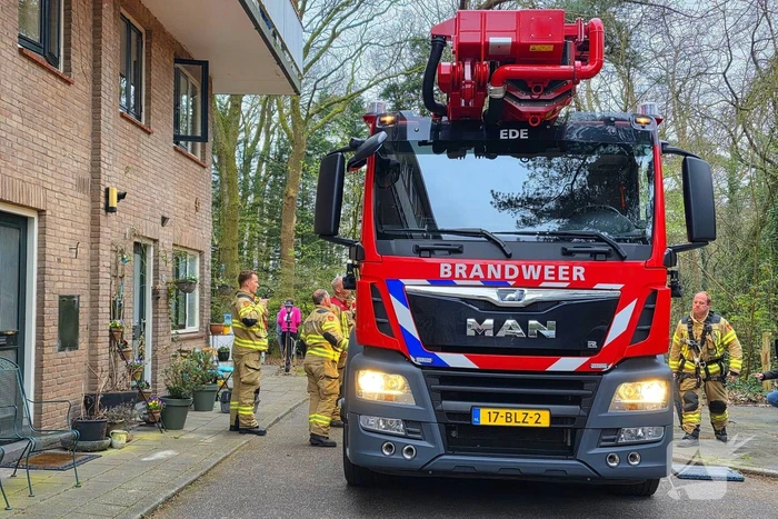 Kat Zorra eigenwijs en klimt verder in boom, brandweer in actie