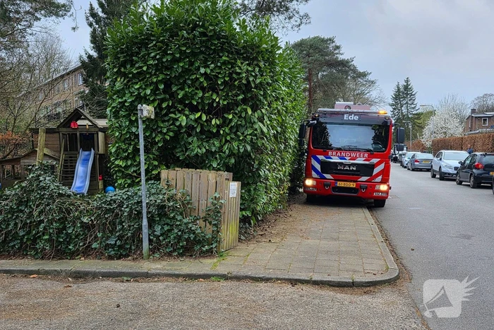 Kat Zorra eigenwijs en klimt verder in boom, brandweer in actie