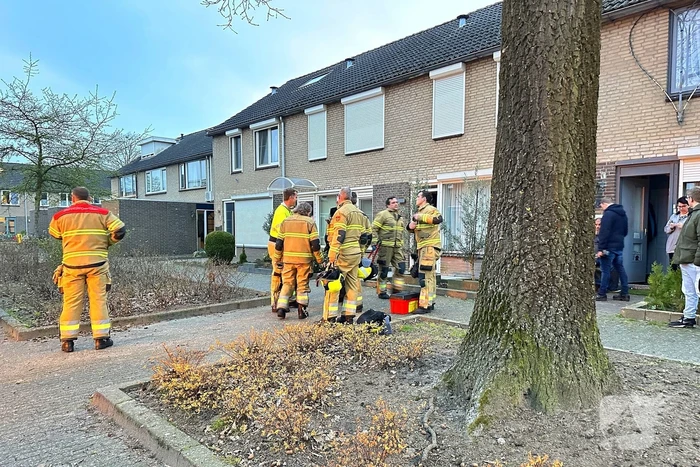 nieuws meeuwdonk veghel