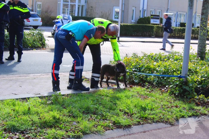 Voetganger komt in botsing met personenauto
