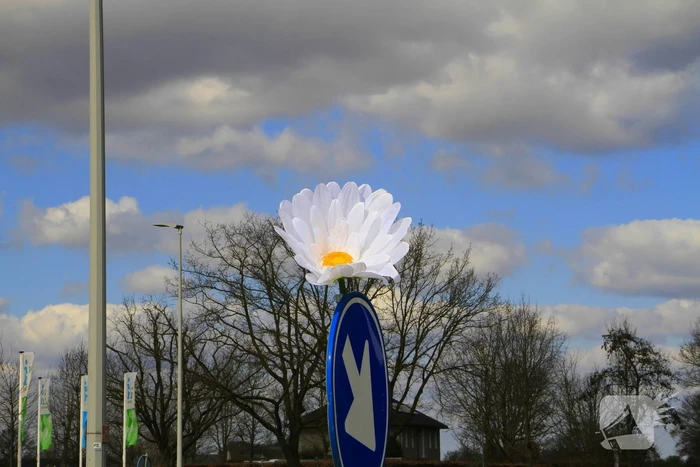 Meerdere bloemen gelegd op plaats dodelijk ongeval