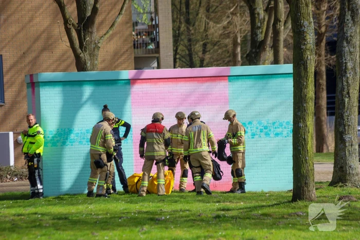 Waarschuwingsschoten gelost bij arrestatie