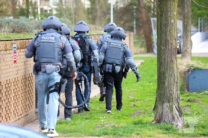 Waarschuwingsschoten gelost bij arrestatie