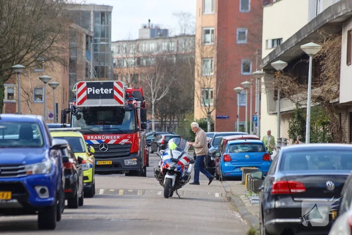 Waarschuwingsschoten gelost bij arrestatie