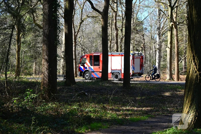 Flinke brand in natuurgebied