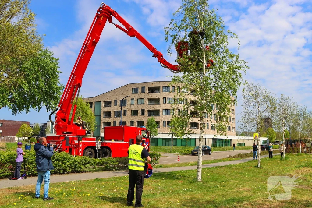 Grevelingenstraat 112 melding Zierikzee 