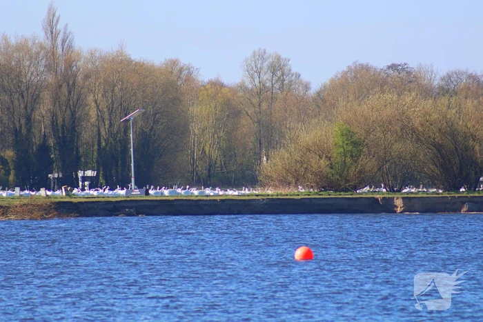 Zandzakken geplaatst ter voorkoming van overstroming