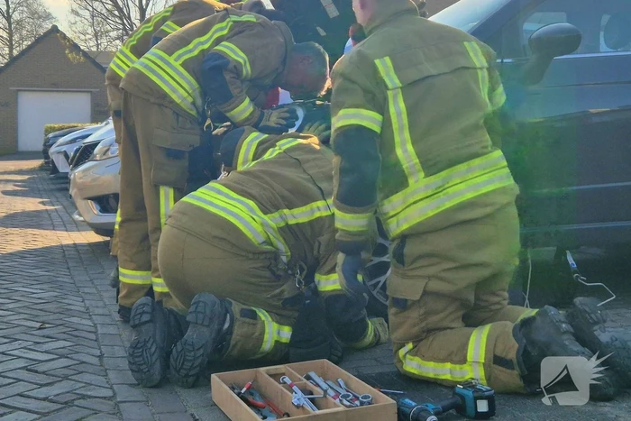 Brandweer bevrijdt kat uit motorkap