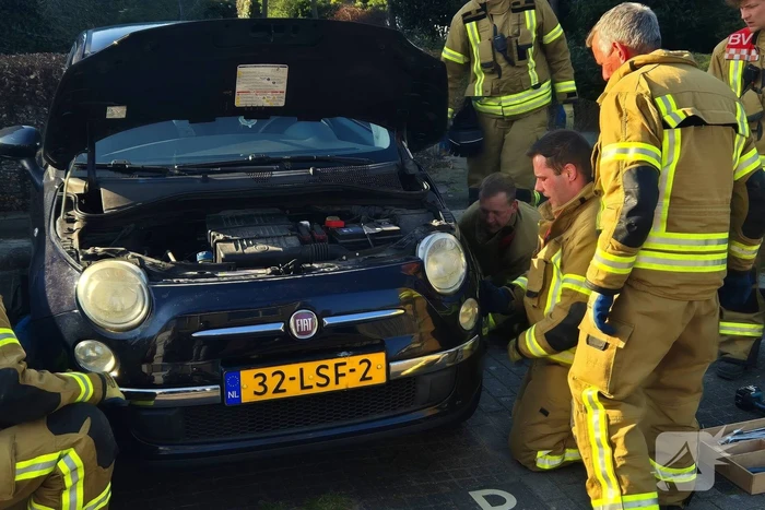 Brandweer bevrijdt kat uit motorkap
