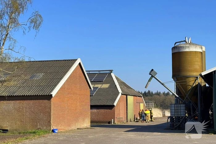 Brandweer ingezet voor dier in nood