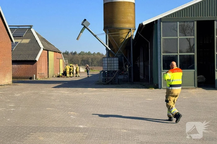 Brandweer ingezet voor dier in nood
