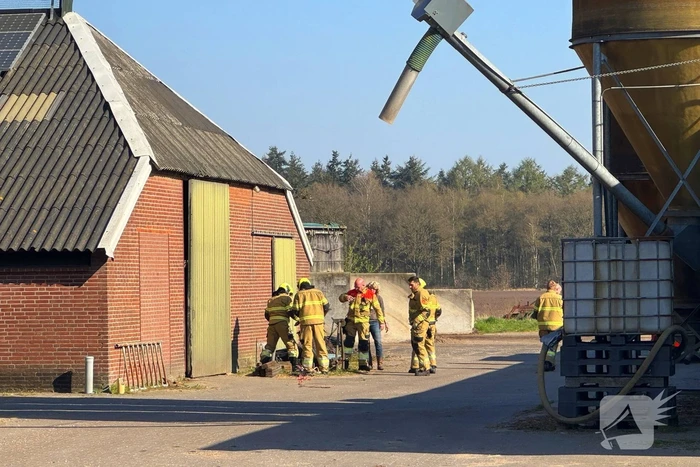 Brandweer ingezet voor dier in nood