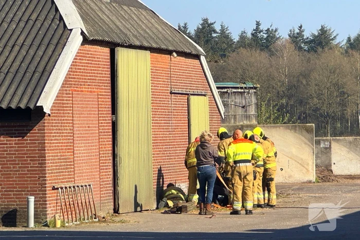 Brandweer ingezet voor dier in nood