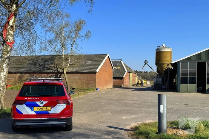 Brandweer ingezet voor dier in nood
