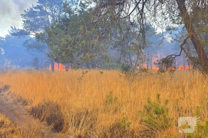 NL-alert voor brand in heidegebied
