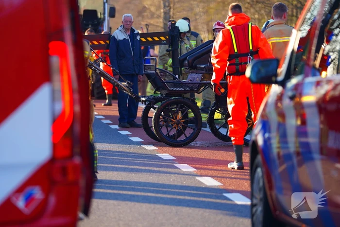 Paard raakt met rijtuig te water