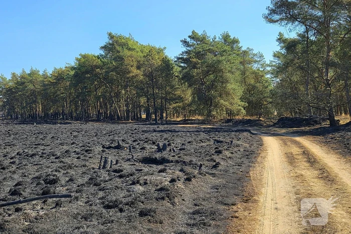 nieuws koeweg ede