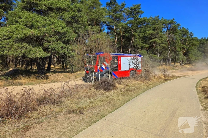 Day after; grote schade na enorme natuurbrand
