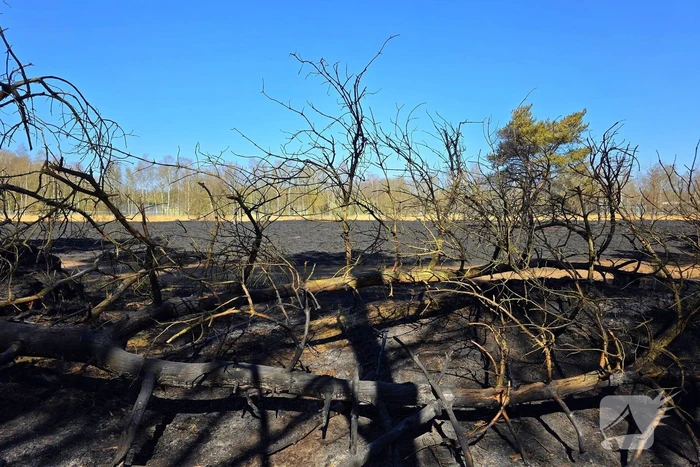 Day after; grote schade na enorme natuurbrand