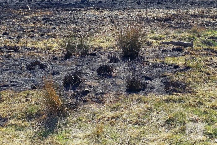 Day after; grote schade na enorme natuurbrand