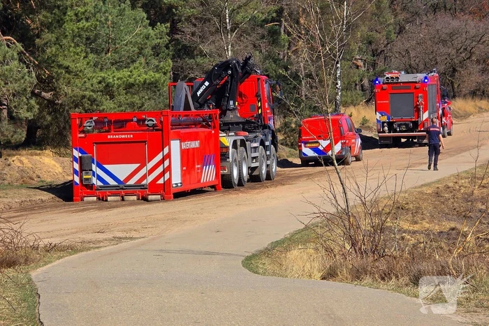 Day after; grote schade na enorme natuurbrand