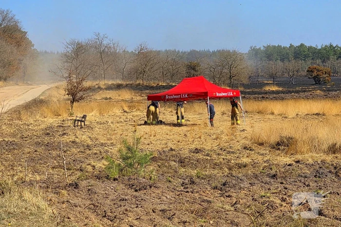 Day after; grote schade na enorme natuurbrand