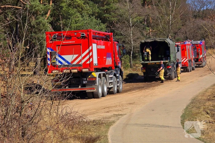 Day after; grote schade na enorme natuurbrand