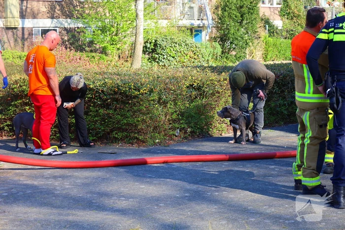Flat ontruimd vanwege brand