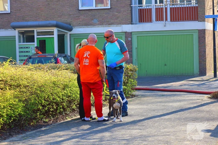 Flat ontruimd vanwege brand